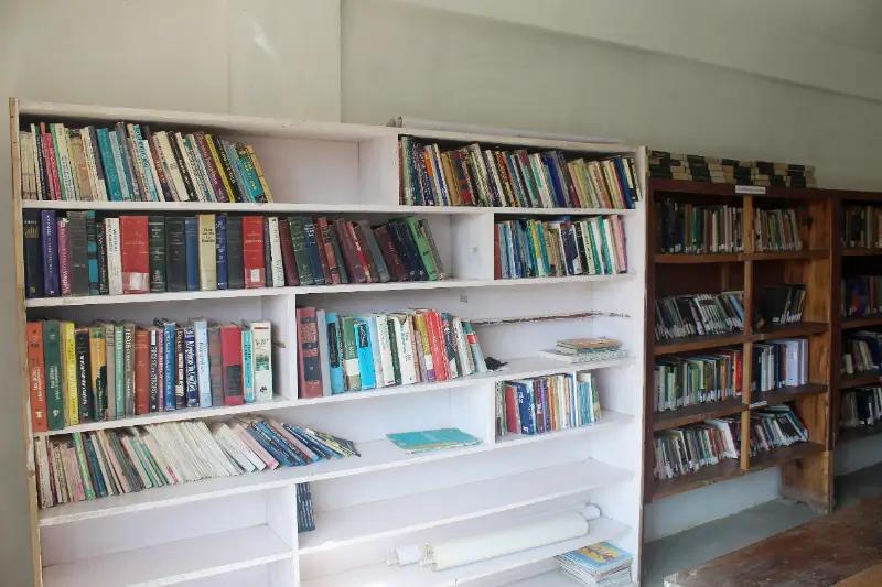 Bookshelves in the AEBS library